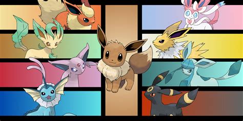 eevee evolution rule34|10 Best Eevee and Eeveulution Moments in Pokémon Anime History.